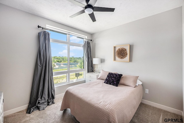 630 N 46th St, Omaha, NE 68132 - carpeted bedroom with multiple windows, baseboards, a ceiling fan, and a textured ceiling