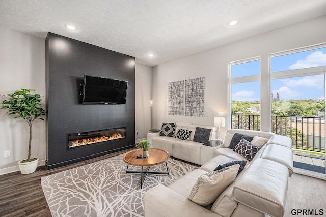 630 N 46th St, Omaha, NE 68132 - living room featuring baseboards, wood finished floors, a glass covered fireplace, and recessed lighting