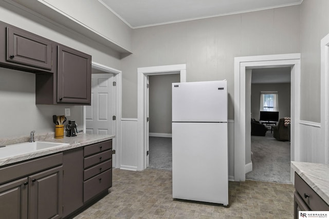6633 Platte Ave, Lincoln, NE 68507 - kitchen with freestanding refrigerator, light colored carpet, light countertops, a sink, and ornamental molding