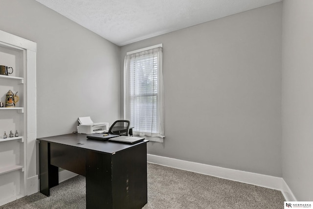 6633 Platte Ave, Lincoln, NE 68507 - office area with carpet, a textured ceiling, and baseboards