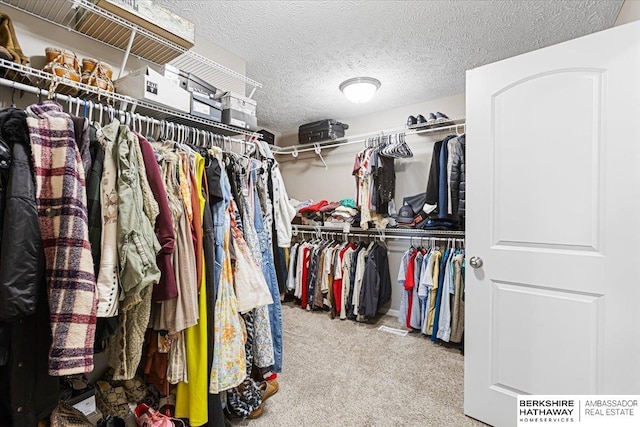 20904 Camden Ave, Omaha, NE 68022 - spacious closet with carpet