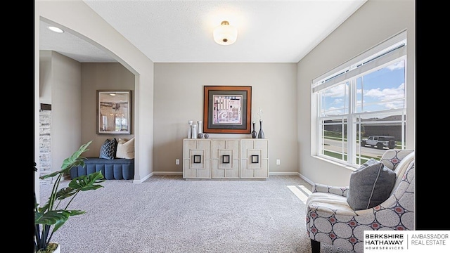 20904 Camden Ave, Omaha, NE 68022 - living area featuring baseboards, carpet floors, and arched walkways
