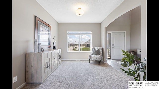 20904 Camden Ave, Omaha, NE 68022 - living area featuring carpet flooring, arched walkways, baseboards, and a textured ceiling