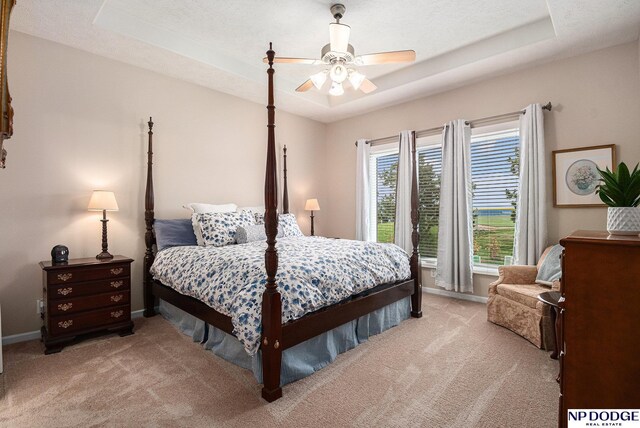 7409 N 160th St, Bennington, NE 68007 - carpeted bedroom featuring a tray ceiling, baseboards, and a ceiling fan