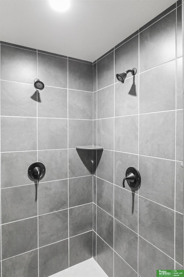 5409 N 196th Ave, Elkhorn, NE 68022 - full bath with tiled shower