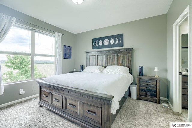 2206 Alexandra Rd, Papillion, NE 68133 - carpeted bedroom featuring baseboards and multiple windows