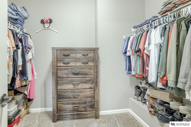 2206 Alexandra Rd, Papillion, NE 68133 - walk in closet with carpet floors