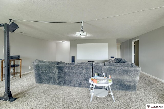2206 Alexandra Rd, Papillion, NE 68133 - cinema room with carpet floors and baseboards