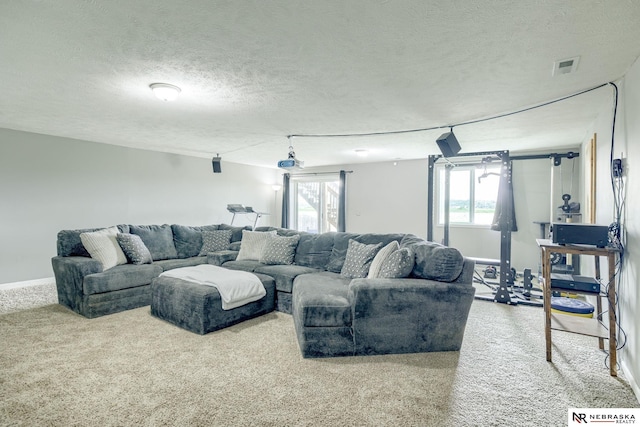 2206 Alexandra Rd, Papillion, NE 68133 - living room featuring carpet flooring and a textured ceiling