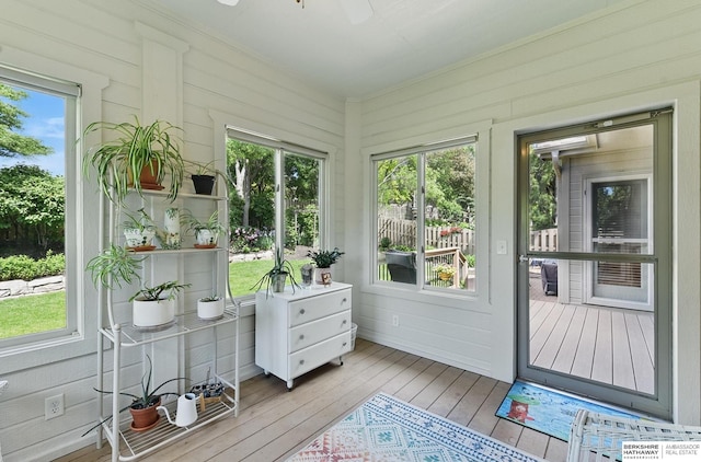 17616 Englewood St, Omaha, NE 68135 - sunroom with hardwood / wood-style floors, healthy amount of natural light, and a ceiling fan
