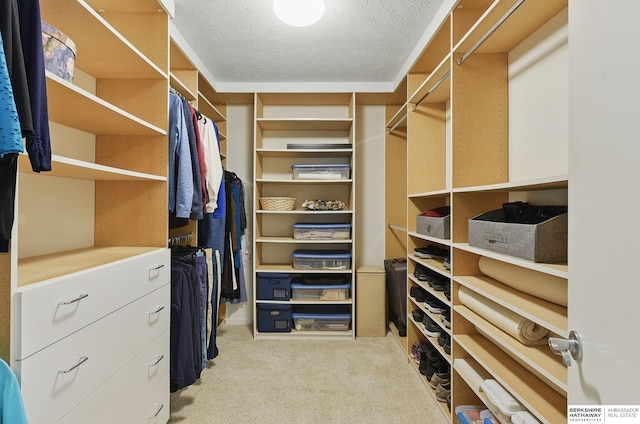 17616 Englewood St, Omaha, NE 68135 - spacious closet featuring light carpet
