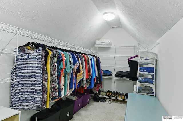 17616 Englewood St, Omaha, NE 68135 - walk in closet with vaulted ceiling and carpet floors