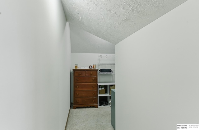 17616 Englewood St, Omaha, NE 68135 - office with a textured ceiling, vaulted ceiling, and light colored carpet