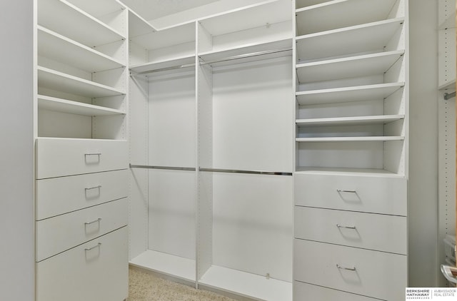 17616 Englewood St, Omaha, NE 68135 - view of spacious closet