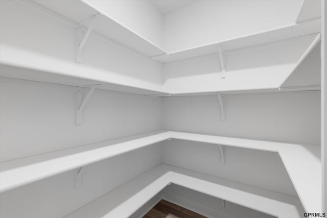 17312 Potter St, Bennington, NE 68005 - view of pantry