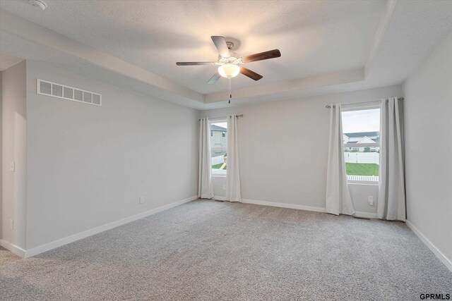 17312 Potter St, Bennington, NE 68005 - carpeted spare room featuring ceiling fan, a tray ceiling, and baseboards