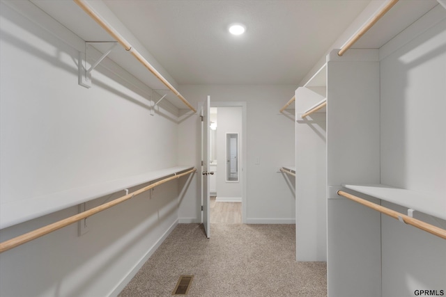 17312 Potter St, Bennington, NE 68005 - spacious closet with light colored carpet