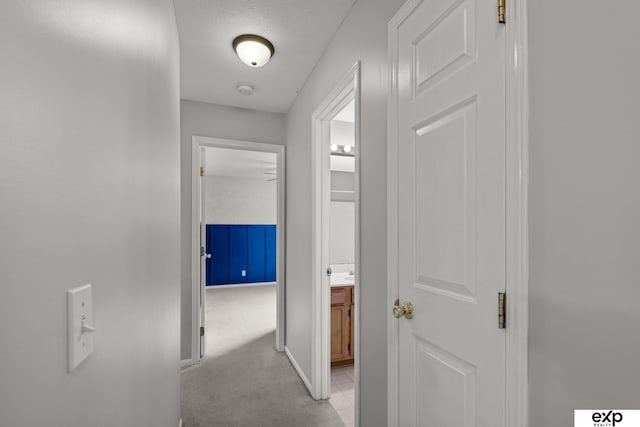 3003 Sheridan Rd, Bellevue, NE 68123 - hall featuring baseboards, a textured ceiling, and light carpet
