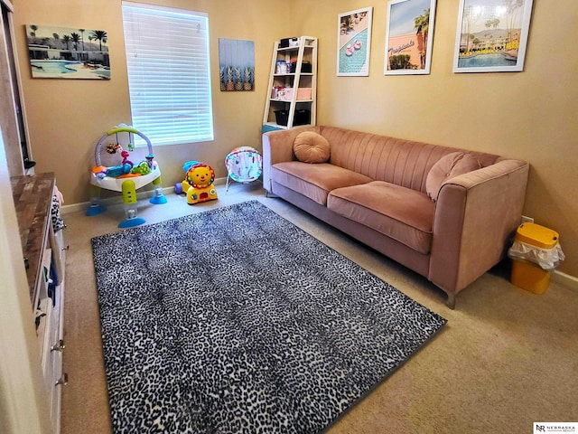 16228 Virginia St, Omaha, NE 68136 - living room with carpet and baseboards