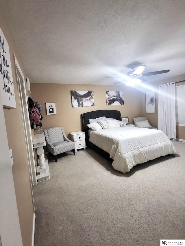 16228 Virginia St, Omaha, NE 68136 - bedroom with carpet, a ceiling fan, and a textured ceiling