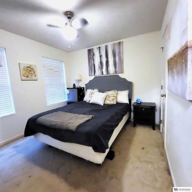 16228 Virginia St, Omaha, NE 68136 - bedroom featuring carpet, baseboards, and ceiling fan
