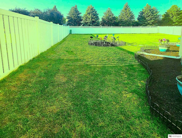 16228 Virginia St, Omaha, NE 68136 - view of yard