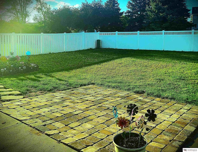 16228 Virginia St, Omaha, NE 68136 - view of yard with a patio area