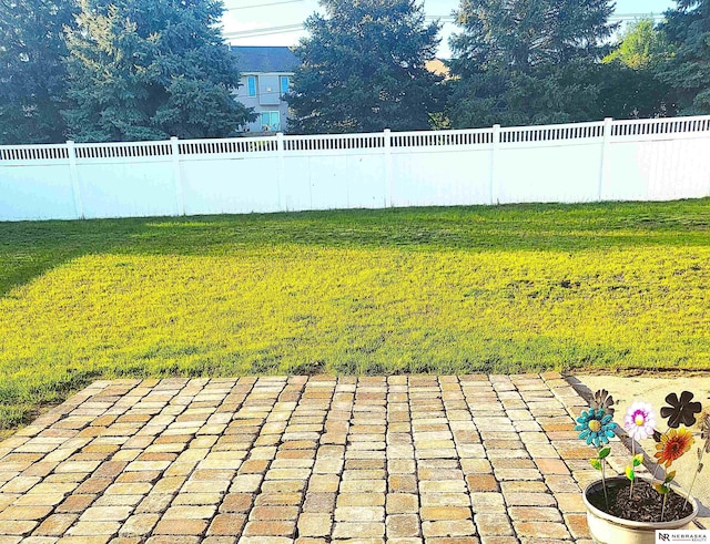 16228 Virginia St, Omaha, NE 68136 - view of yard