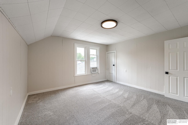 1943 Washington St, Blair, NE 68008 - additional living space with carpet floors, baseboards, vaulted ceiling, and wooden walls