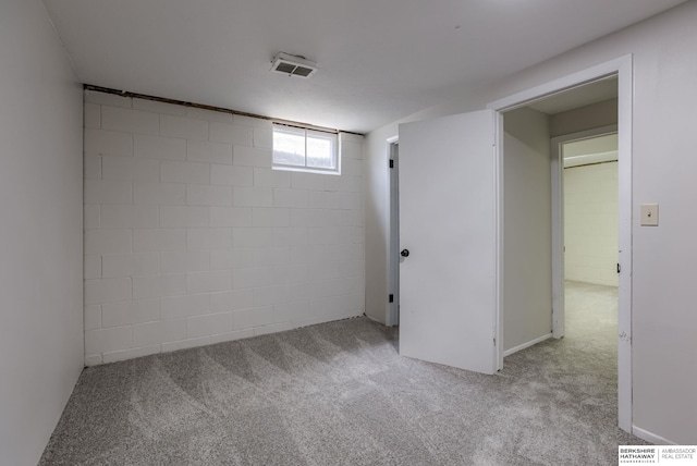 5002 S 77th Ave, Ralston, NE 68127 - below grade area featuring carpet and concrete block wall