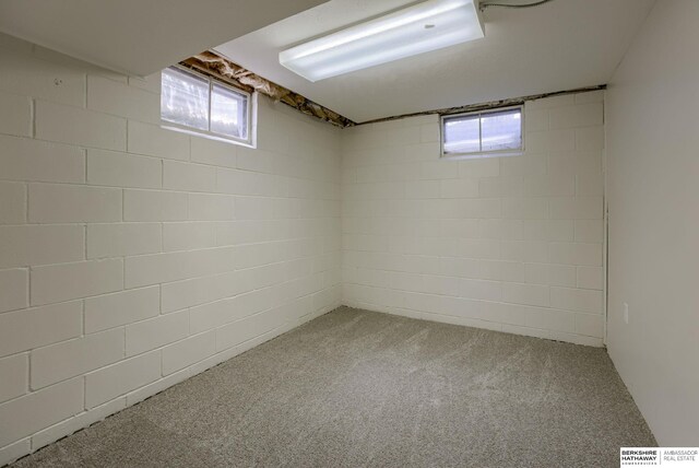 5002 S 77th Ave, Ralston, NE 68127 - basement featuring carpet floors