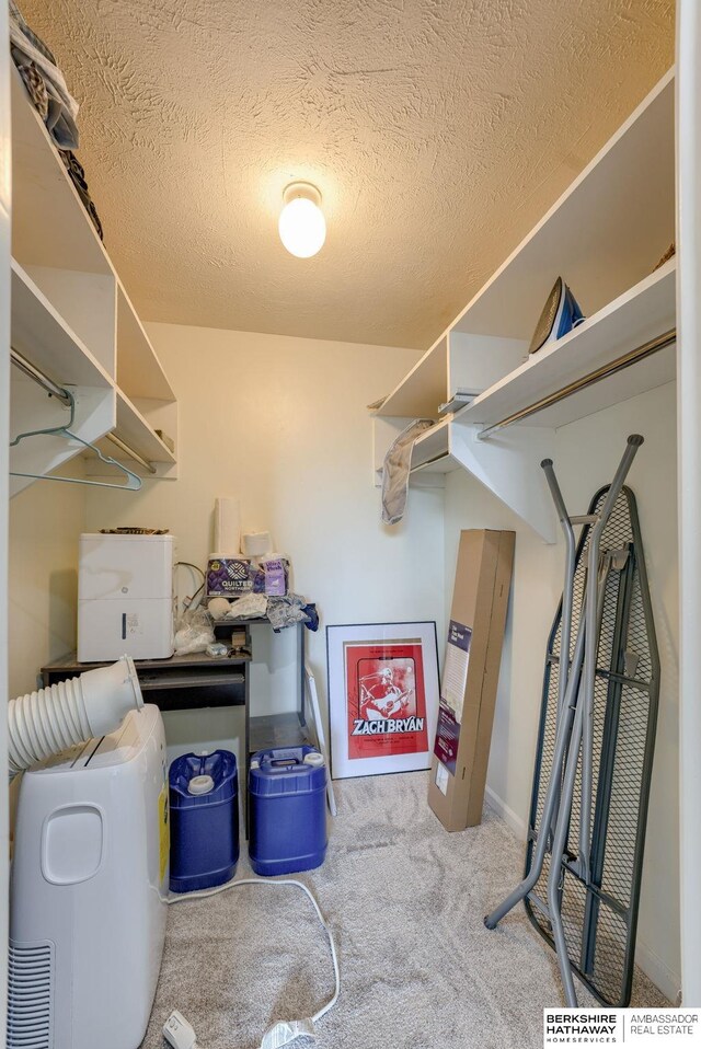 105 N 31st Ave Unit 502, Omaha, NE 68131 - walk in closet featuring carpet flooring