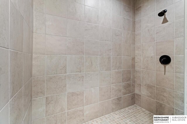10317 S 191st Ave, Omaha, NE 68136 - bathroom with a tile shower
