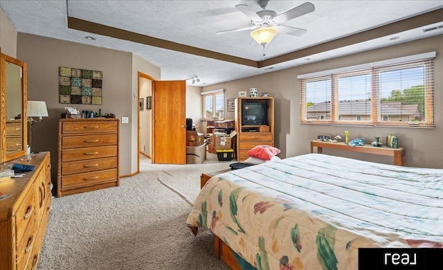 15102 Boyd St, Omaha, NE 68116 - bedroom featuring carpet floors, a textured ceiling, and a tray ceiling