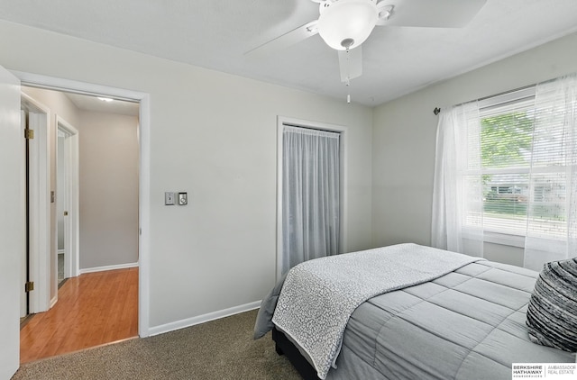 6641 S 85th St, Ralston, NE 68127 - bedroom with baseboards, ceiling fan, and carpet