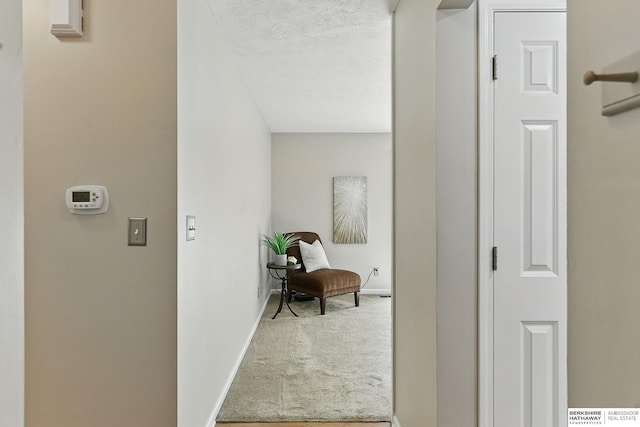 6641 S 85th St, Ralston, NE 68127 - hall with carpet flooring, baseboards, and a textured ceiling