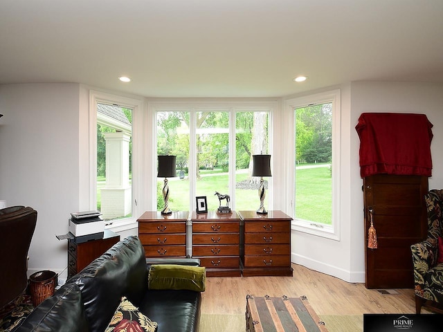20640 Rawhide Rd, Omaha, NE 68022 - bedroom with light wood-style flooring, baseboards, and recessed lighting