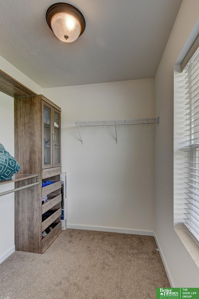10505 Rosewater Pkwy, Bennington, NE 68007 - walk in closet with carpet flooring