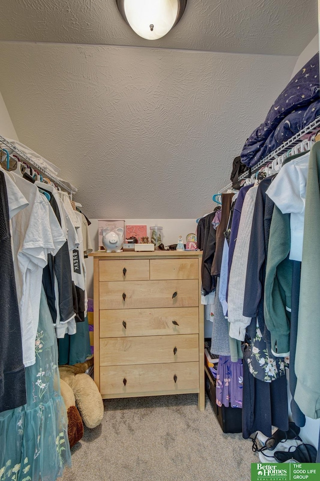 10505 Rosewater Pkwy, Bennington, NE 68007 - walk in closet featuring carpet floors