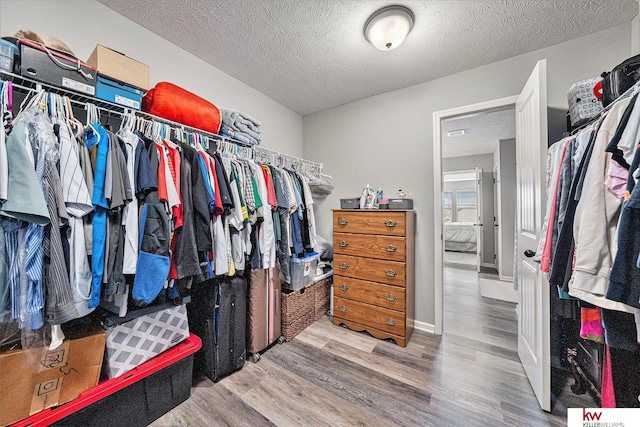 21327 Quarry Ln, Gretna, NE 68028 - spacious closet with wood finished floors