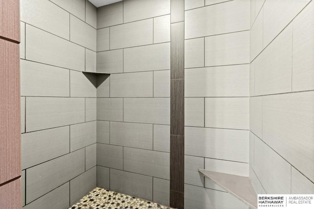 1220 S 200th Ave, Omaha, NE 68130 - full bath featuring tiled shower