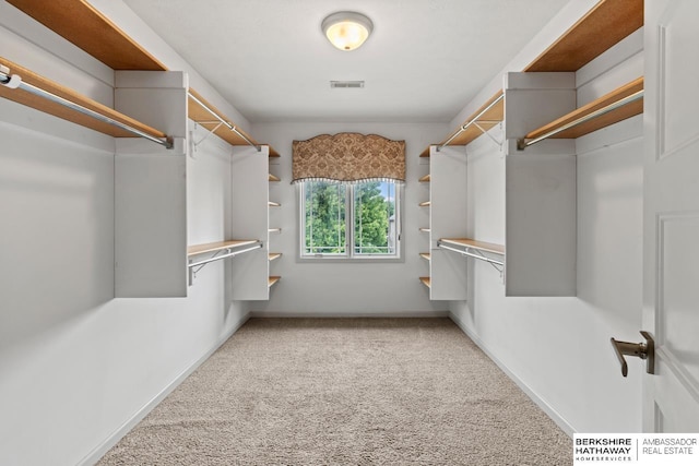 1220 S 200th Ave, Omaha, NE 68130 - walk in closet with carpet