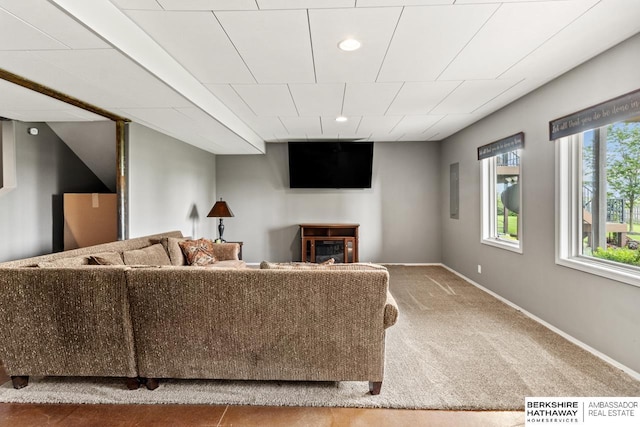 1220 S 200th Ave, Omaha, NE 68130 - carpeted living room featuring a glass covered fireplace and baseboards