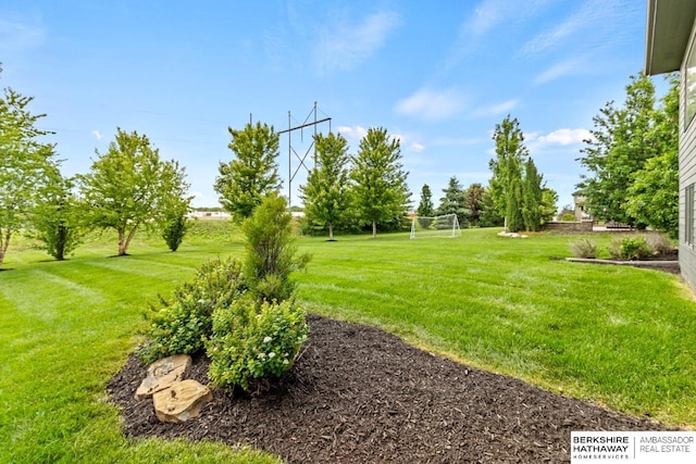 1220 S 200th Ave, Omaha, NE 68130 - view of yard featuring an area for sports