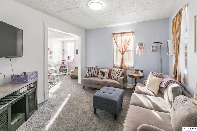 5335 N 26th St, Omaha, NE 68111 - carpeted living room with a textured ceiling