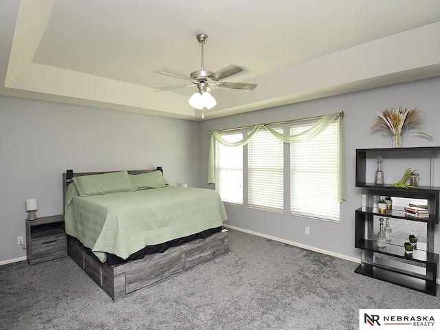 7941 N 152nd St, Bennington, NE 68007 - carpeted bedroom featuring baseboards, a tray ceiling, and ceiling fan