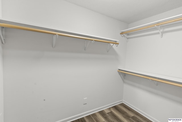 9607 Spencer St, Omaha, NE 68134 - spacious closet with dark wood finished floors