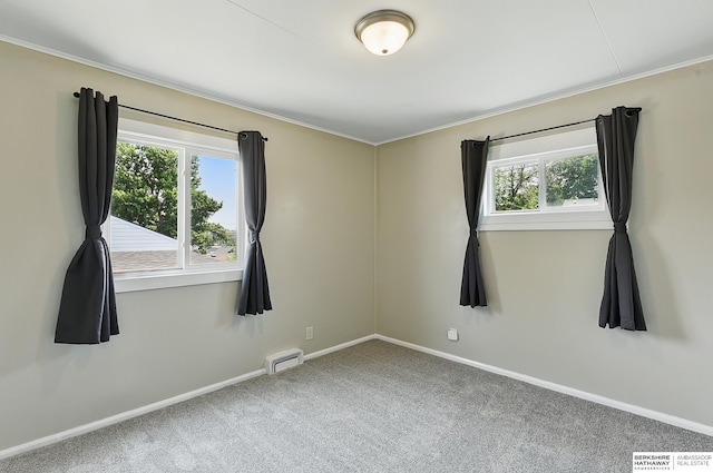 3847 Valley St, Omaha, NE 68105 - carpeted spare room with plenty of natural light and ornamental molding