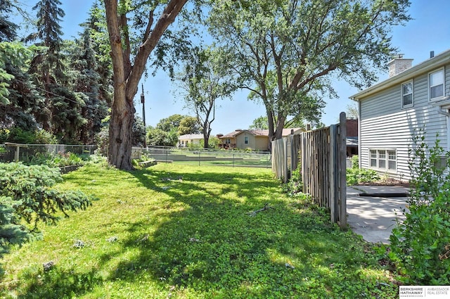 3629 S 114th Ave, Omaha, NE 68144 - view of yard