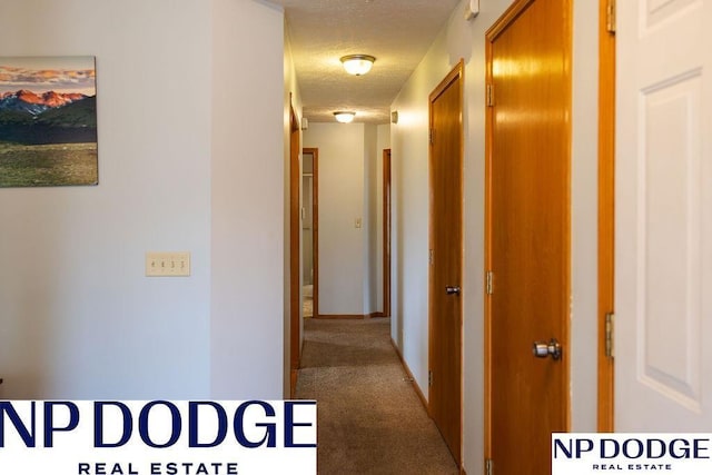 611 Diamond Ln, Papillion, NE 68133 - hallway featuring a textured ceiling and carpet